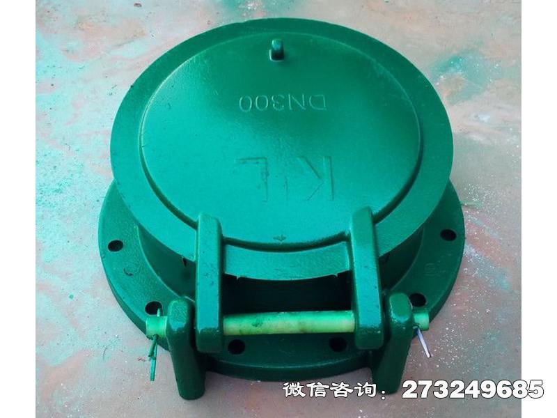 红安县dn300复合材料拍门